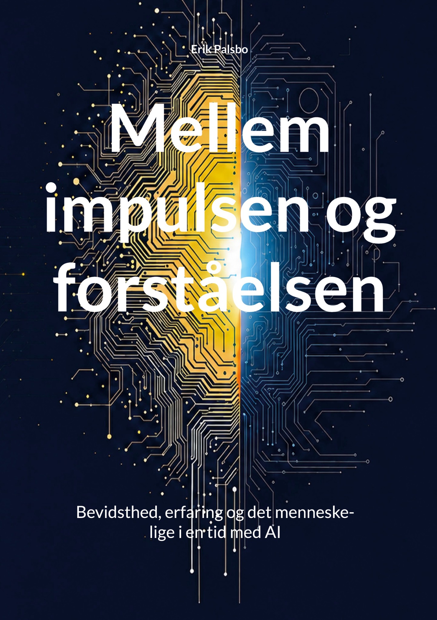 Bogforside til Mellem impulsen og forståelsen