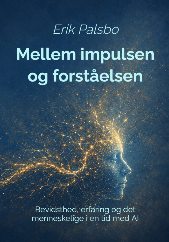 Bogforside til Mellem impulsen og forståelsen